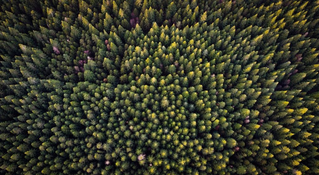 Using proven technologies at scale to decarbonize European industry