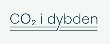 co2 i dyben